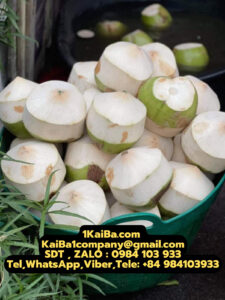 KaiBa’s Automatic Coconut Peeler Machines