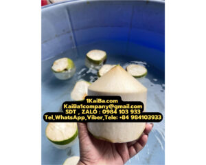 KaiBa’s Automatic Coconut Peeler Machines