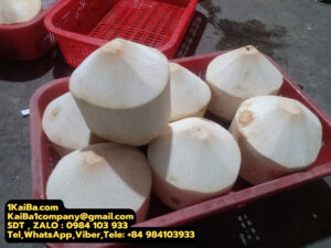 KaiBa’s Automatic Coconut Peeler Machines