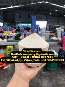 KaiBa’s Automatic Coconut Peeler Machines