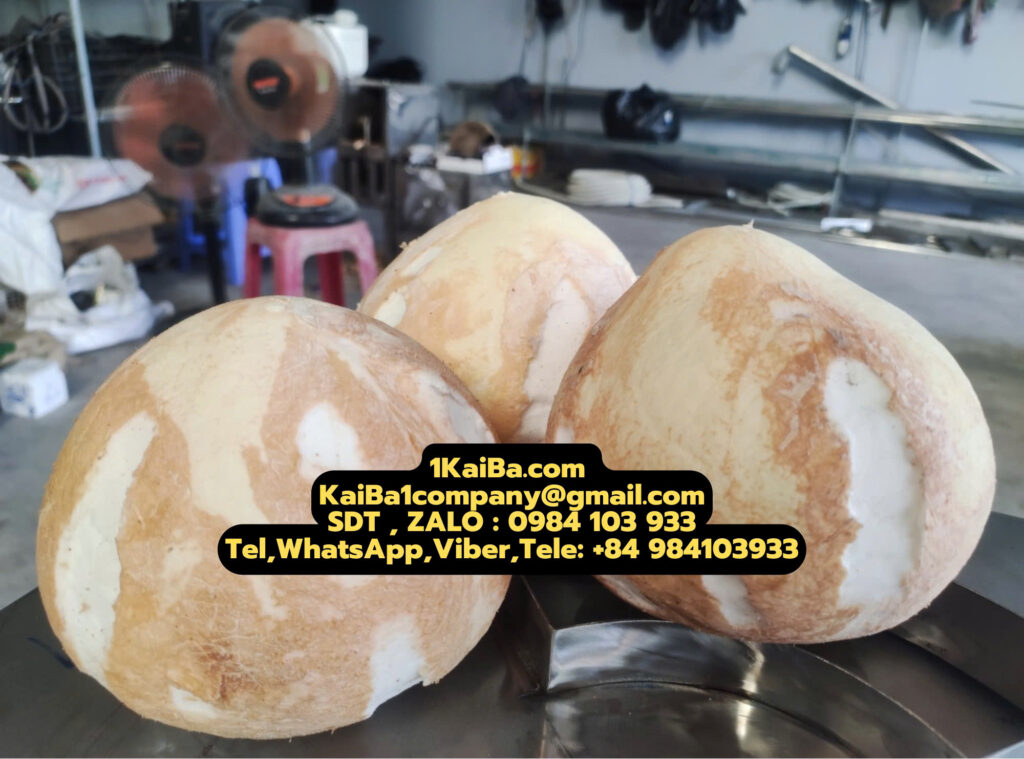 Coconut Dehusking Machine