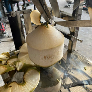 Coconut Peeling Machine