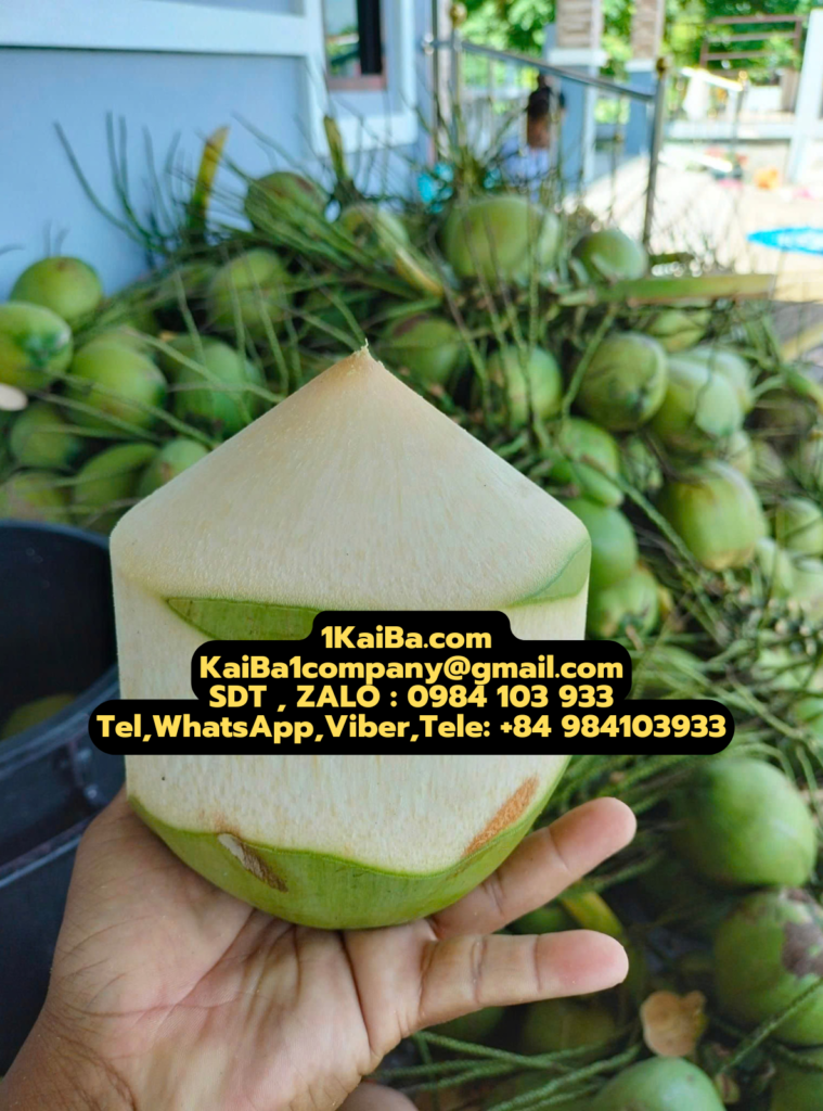 KaiBa Fresh Coconut Peeler