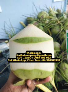 KaiBa Fresh Coconut Peeler