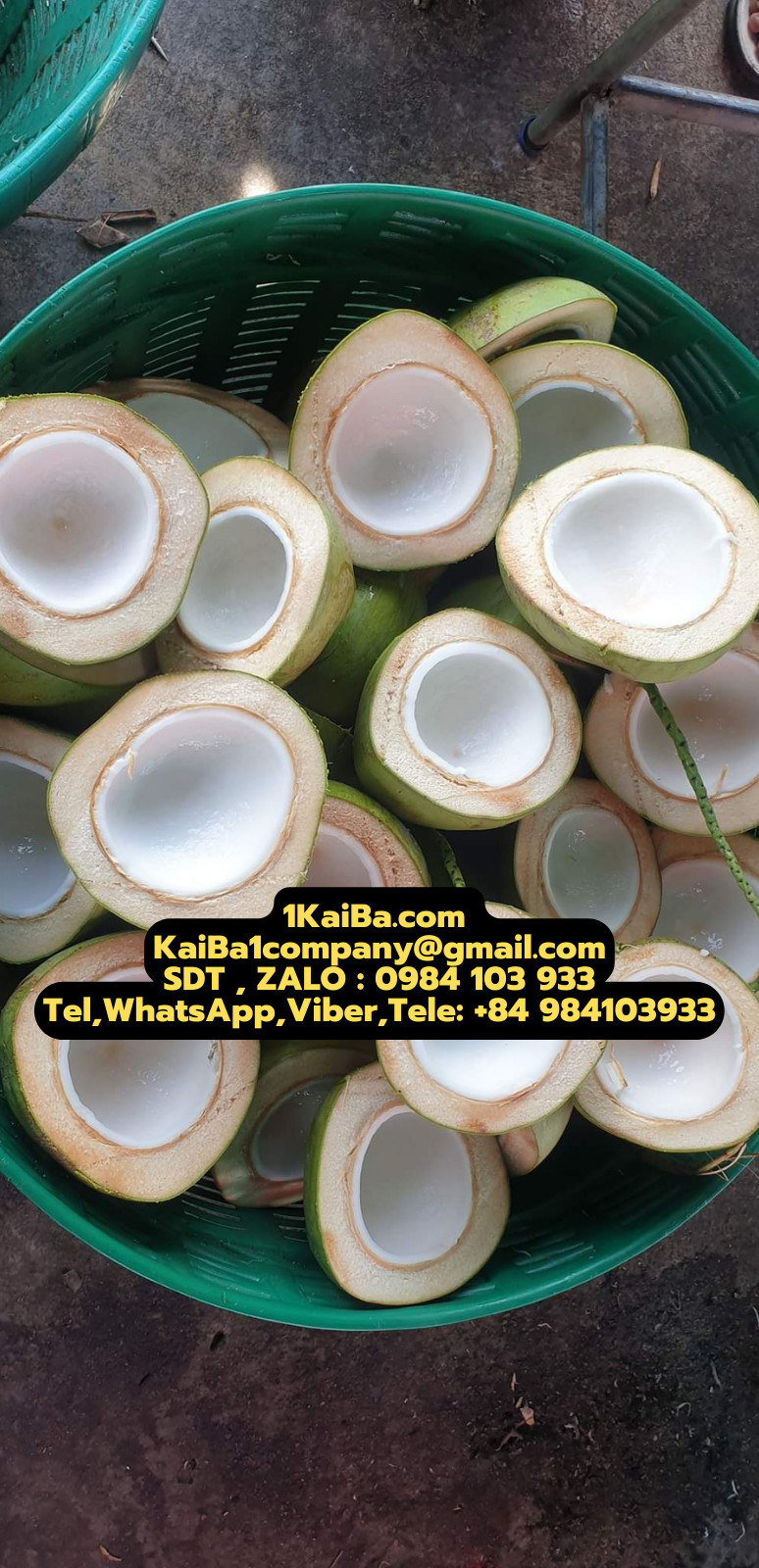 Coconut Cutting Machine