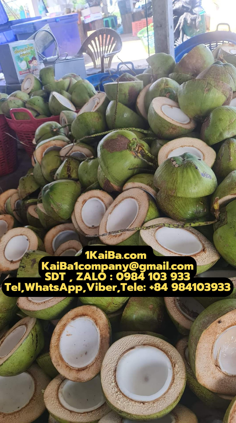 Coconut Cutting Machine