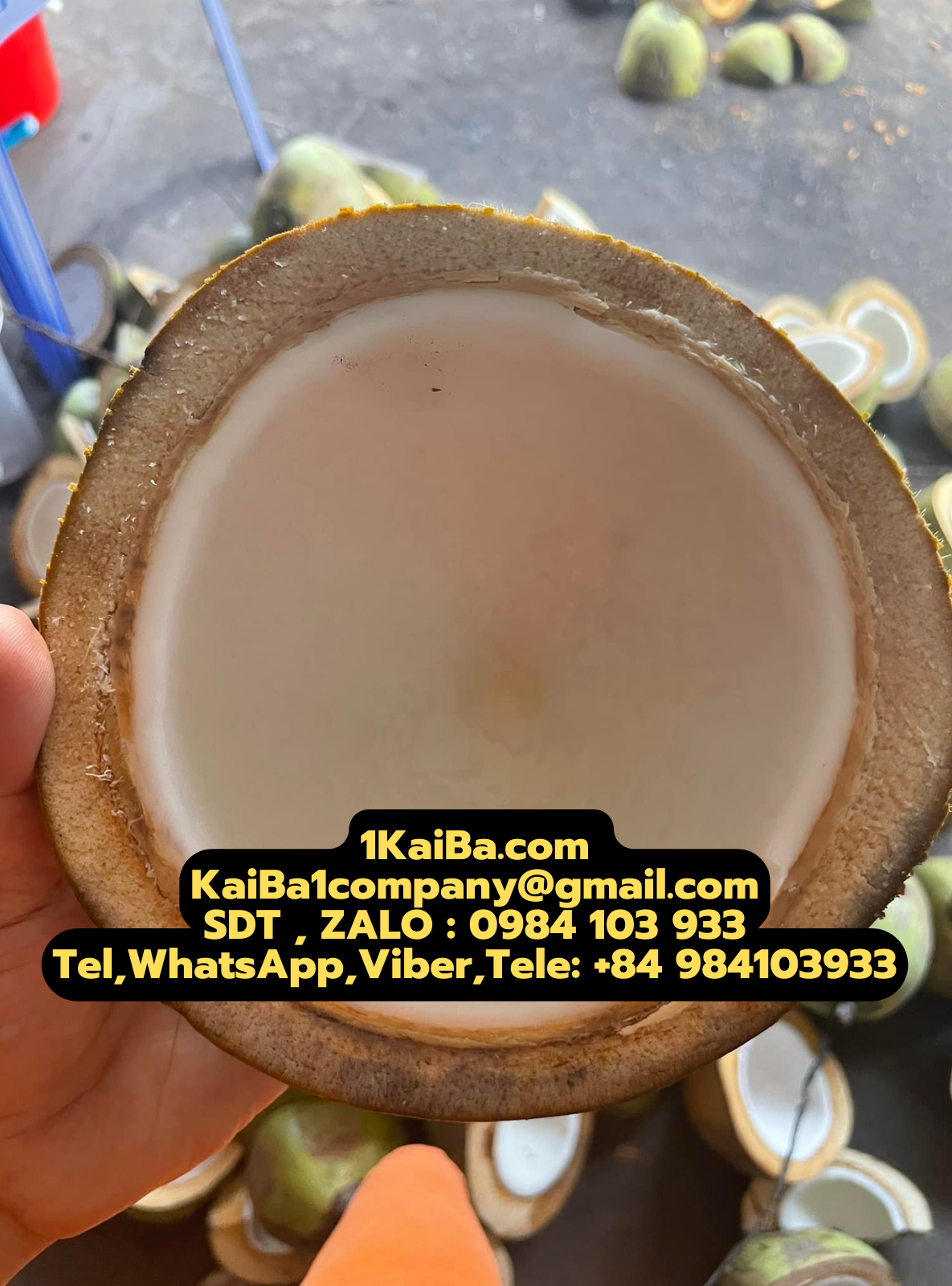 coconut cutting machine