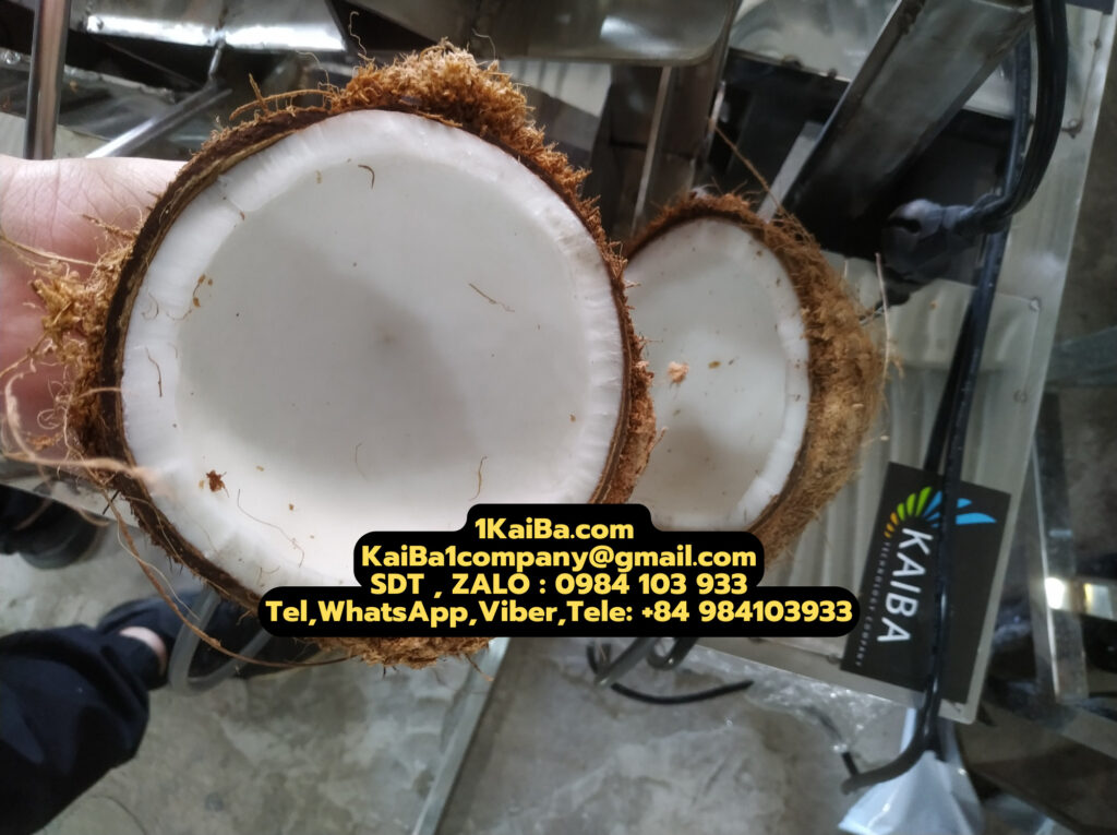 coconut cutting machine