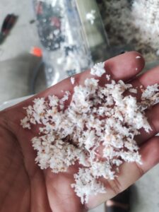 coconut grinder
